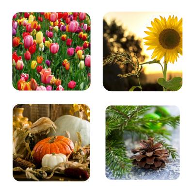 Seasonal Bouquet